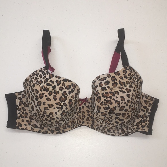 Cacique Other - ♦️Cacique 40C Cacique Other - ♦️Cacique 40C